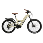 off road ebike