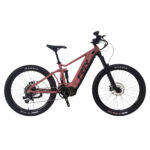 electric mountain bike